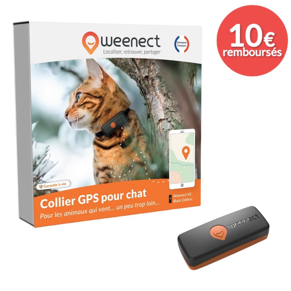 Collier support de repérage GPS pour chat