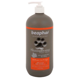 Hygiène Chien – Beaphar shampooing premium éclat du pelage – 750 ml 233952