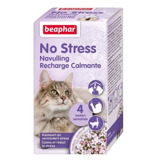 5 signes qui montrent que votre chat est stressé - Beaphar