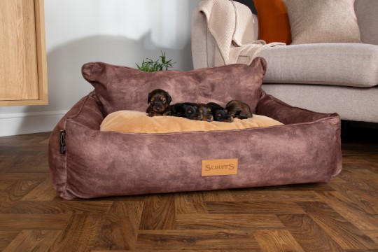 couchage chien - Coussin reversible et confortable marron
