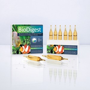 Traitement de l'eau - Prodibio BioDigest 6 ampoules 849867
